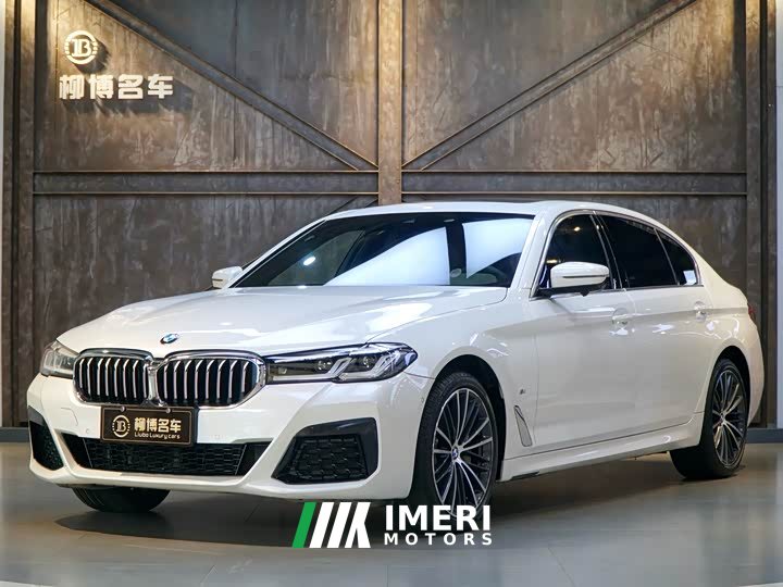 BMW 5 Series 530Li leading M sports package - автомобиль из Китая
