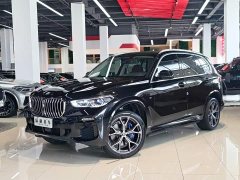 BMW X5 xDrive40i Deluxe Version M - фото 1