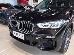 BMW X5 xDrive40i Deluxe Version M - фото 8