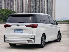 Buick GL8 ES 653T Deluxe Version - фото 2