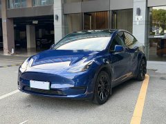 Tesla Model Y Edition - фото 1