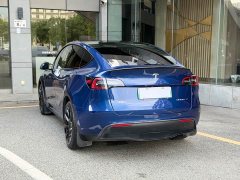 Tesla Model Y Edition - фото 13
