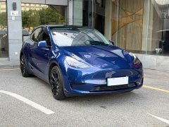 Tesla Model Y Edition - фото 3
