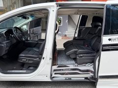 Tesla 2.0L e:HEV Luxury Edition - фото 18