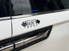 Tesla 2.0L e:HEV Luxury Edition - фото 5