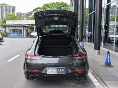 Mercedes-Benz AMG GT AMG GT 50 Edition - фото 14