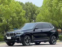 BMW X5 xDrive 40Li Deluxe VersionM - фото 1
