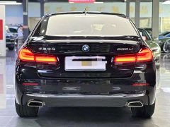 BMW 5 530Li Deluxe Version Luxury - фото 3