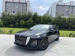 FAW H5 2.0T Pro Edition - фото 1
