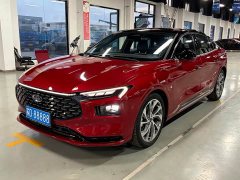 Ford 2.0T EcoBoost Version - фото 1