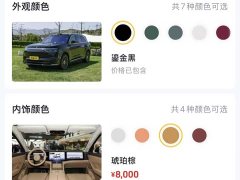 AITO M8 EREV Ultra Edition 53.4kWh 6 Edition (192) - фото 13