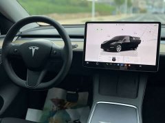 Tesla Model Y Edition - фото 11