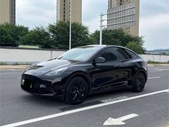 Tesla Model Y Edition - фото 2