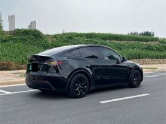 Tesla Model Y Edition - фото 3