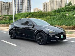 Tesla Model Y Edition - фото 7