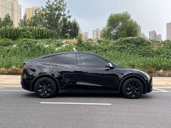 Tesla Model Y Edition - фото 8