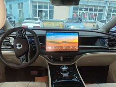 Denza D9 DM-i 980 AWD Version - фото 6