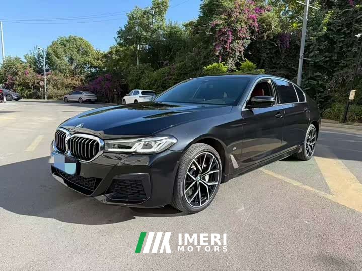 BMW 5 530Li Deluxe Version M - автомобиль из Китая