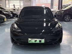 Tesla Model 3 Edition - фото 11
