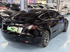 Tesla Model 3 Edition - фото 13
