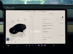 Tesla Model 3 Edition - фото 15