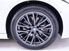 BMW 3 Series 325Li M Sports Night Package - фото 6