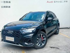 Audi Q5L 45 Edition 40 TFSI Luxury Version - фото 1