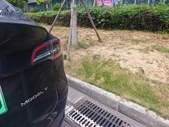 Tesla Model Y Edition - фото 13