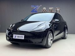 Tesla Model Y Edition - фото 1
