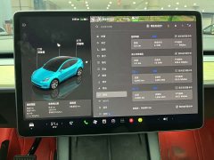 Tesla Model Y Edition - фото 18