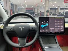 Tesla Model Y Edition - фото 19