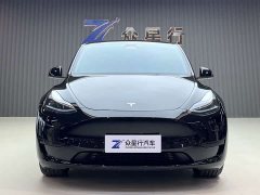 Tesla Model Y Edition - фото 2