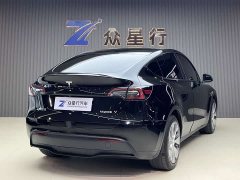 Tesla Model Y Edition - фото 4