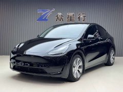 Tesla Model Y Edition - фото 1