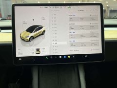 Tesla Model Y Edition - фото 17