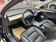 Tesla Model 3 Edition - фото 10