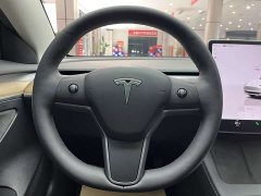 Tesla Model 3 Edition - фото 17