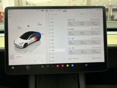 Tesla Model 3 Edition - фото 18