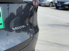 Tesla Model Y Edition - фото 18