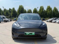 Tesla Model Y Edition - фото 2