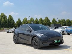 Tesla Model Y Edition - фото 3