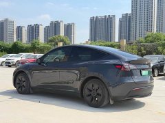 Tesla Model Y Edition - фото 4