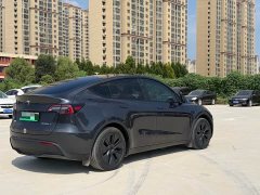 Tesla Model Y Edition - фото 6