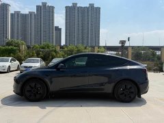 Tesla Model Y Edition - фото 8