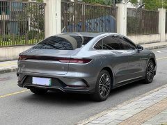 BYD DM-i Edition 121KM Deluxe Version - фото 10