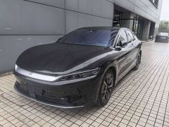 BYD EV AWDPerformance EditionFlagship Version - фото 1