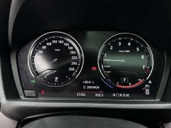 BMW X2 sDrive25i M - фото 17