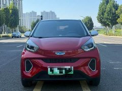 BYD 15 Edition - фото 2