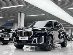 BMW X5 xDrive 30Li Deluxe VersionM - фото 1
