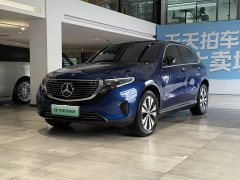 Mercedes-Benz EQC 2020 EQC 350 4MATIC - фото 1